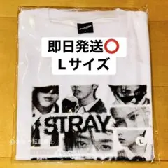 L 黒 straykids RUN IT JAPAN スキズ フォト Tシャツ - メルカリ