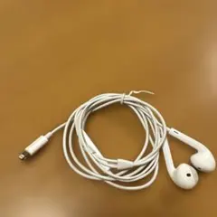 iPhone付属品イヤホン、ライトニングケーブル
