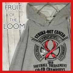 【入手困難】 フルーツオブザルーム メンズ パーカー ペイントダメージ