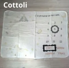 Item thumbnail for item a8b80f75-5f8c-4e91-86fc-bb825ddd5c3f