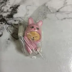 straykids SKZOOつまんでつなげてますこっとvol.2