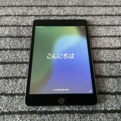 30 【早い者勝ち】 iPad mini5 5世代 64GB スペースグレイ