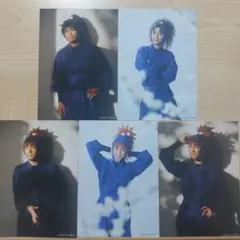 忍ミュ14弾再演ブロマイド/久々知兵助/竹谷八左ヱ門/不破雷蔵/鉢屋三郎