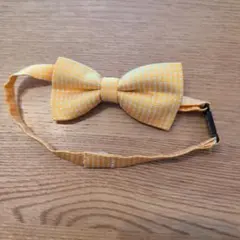 Item thumbnail for item d5f03560-f27d-4e0d-9f0e-1a921531d548