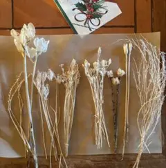 Item thumbnail for item d6f3c115-bf92-4f59-9d54-e8301a2e448c