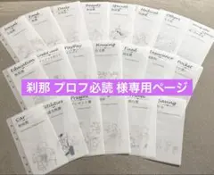 刹那 プロフ必読 様専用ページ