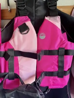 Item thumbnail for item 438fb485-7f0c-4ff0-9ade-c68dd14274d2