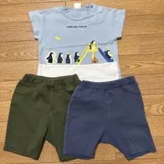 80cm 半袖　Tシャツ 半ズボン　ベビーパンツ　ペンギン　赤ちゃん本舗