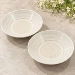 皿 2枚セット 同心円模様 陶器 食器　パスタ皿　カレー皿