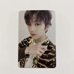 チソンhot sauce トレカ