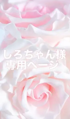【試着のみ】スパンコール厚底スニーカーのサムネイル