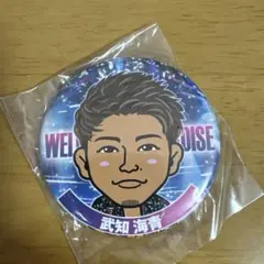 武知海青 缶バッジ