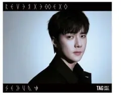 EXO セフン Love Dome Concert ステッカー - メルカリ