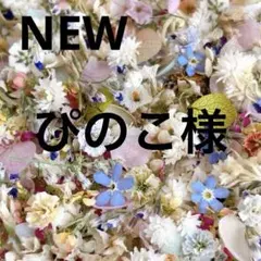 ぴのこ様 リクエスト 3点 まとめ商品