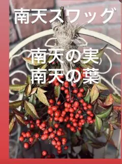 Item thumbnail for item 138ac96f-f6ff-4a10-acfb-c96b5396e7d1