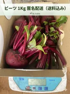 信州産ビーツ】1kg 【有機肥料使用・化学農薬不使用】 - メルカリ