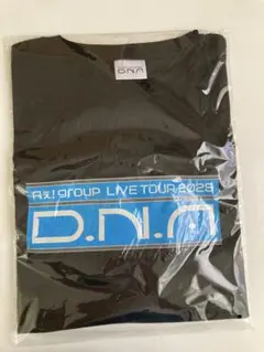 Aぇ! group LIVE TOUR 2025 D.N.A ツアーロンT