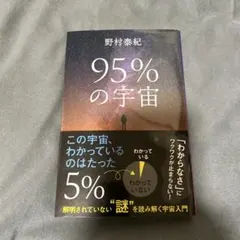 95%の宇宙 : 解明されていない"謎"を読み解く宇宙入門