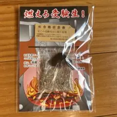 Item thumbnail for item e6cd096d-0c3b-4c93-9a51-082153fd4a35