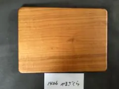 Item thumbnail for item 5a050ba2-ef46-4484-aa3b-be49d8b14ab1