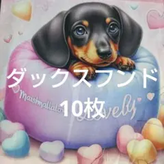 NO.11パネル生地10枚☆ダックスフンド18cm✕18cm、他画像に記載