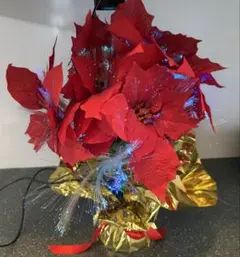 ファイバーポインセチア　クリスマスツリー　36cm LED