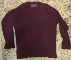 Eddie Bauer バーガンディ ストライプ Tシャツ