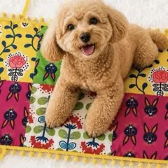 送料無料❤️犬用カフェマット❤️約33cm×50cm❤️ハンドメイド❤️北欧❤️フリル付きのサムネイル