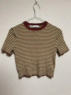ZARA 茶色と緑色のストライプ クロップドTシャツ M