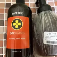 Item thumbnail for item 7f85af19-7af0-433c-a44b-2ba5dbc6672b