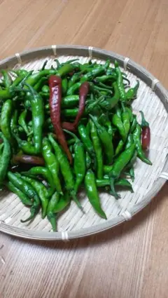 こまりやまやま様 専用ページ