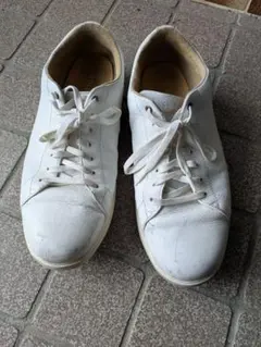 COLE HAAN ホワイト レザー スニーカー