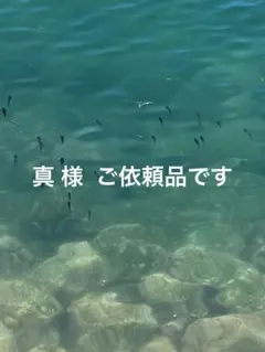 Item thumbnail for item 7d3facb1-3bea-459e-928a-b24a046be557