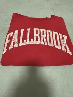 80s champion リバースウィーブ　トリコタグ　USA製