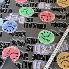 １枚限定 スマイリー 裏毛ニット 生地