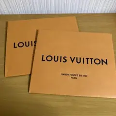 LOUIS VUITTON ショップ袋 2枚セット