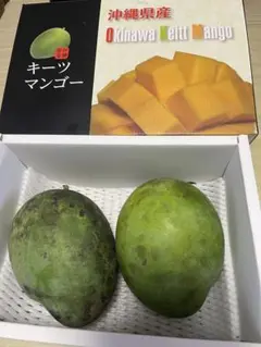 終了間近！ 2kg アップルマンゴー 3〜6玉 （箱込み）甘〜い 訳あり