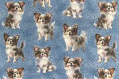 【ゆきちゃん限定】X1622-3 パピヨン デニム風 ブルー 布 1m