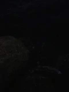 Item thumbnail for item 32170596-5e0b-4665-a4e5-1c1f7bbcafca