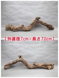 W733 ポルトガル産 キャノンコルク コルク樹皮 コルク板　バージンコルク W733 ポルトガル産 キャノンコルク コルク樹皮 コルク板 バージン