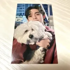 ファンイニョプ Japan 1st FANMEETING ステッカー - メルカリ