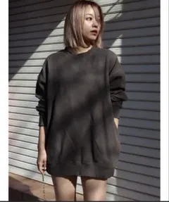 EVRIS SUNNYピグメントオーバーサイズプルオーバー