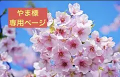 *やま様*専用ページ*12200