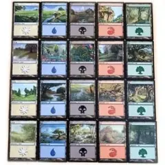 MTG】Lorwyn ローウィン 基本土地 20種 日本語 - メルカリ