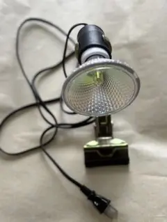 Item thumbnail for item bceee5b0-f3dc-41d6-945b-d664942e8ffb