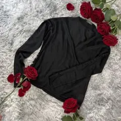 TONI GARD ブラック シアーカットソー 長袖　 イタリア　美品