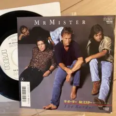 【見本盤】Mr. Mister The Border RPS-261