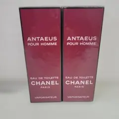 2026年最新】chanel antaeusの人気アイテム - メルカリ