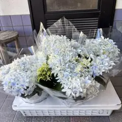 こうちゃん☆ママ様 リクエスト 2点 まとめ商品