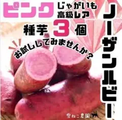 2026年最新】ノーザンルビーの人気アイテム - メルカリ